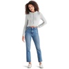Light Slate Blue