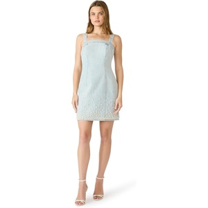 Steve Madden Women’s Juliann Dress(Sulphur Spring)