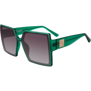 Steve Madden Women’s Deja Sunglasses(Crystal Green/Smoke Gradient)