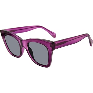 Steve Madden womens Steve Madden Female Sunglasses Style Manzo Cat Eye Sunglasses(Crystal Purple/Solid Smoke)